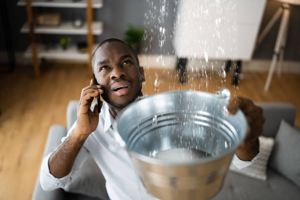 Best Ceiling water damage repair  in Sparta, TN