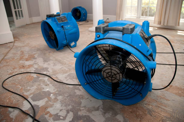 Best Basement water damage restoration  in Sparta, TN
